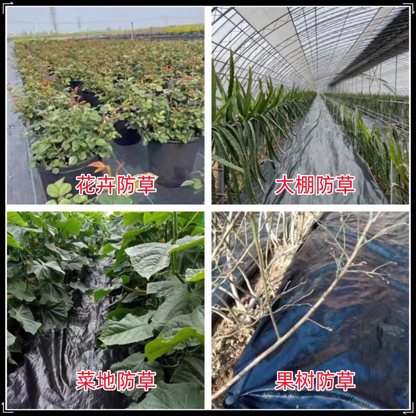邢台市果树反光膜防草布 - 哪里好