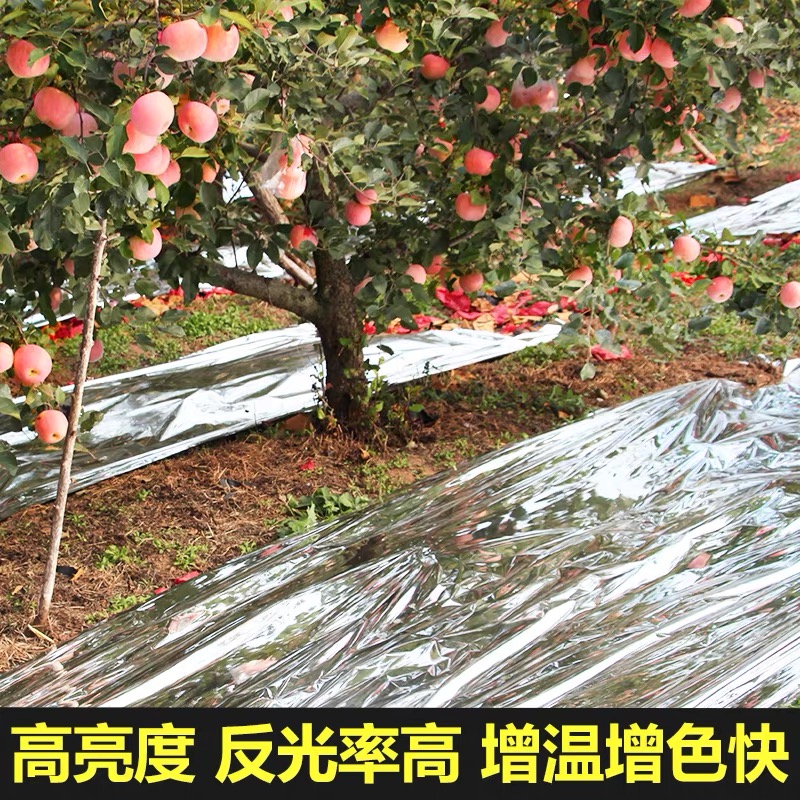 邢台市工程膜果树反光膜 - 哪里好